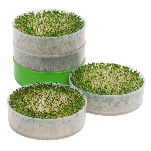 Sprouts For Chef Gift